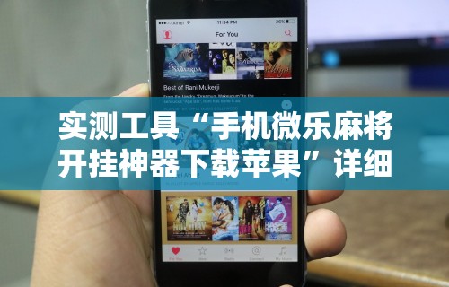 实测工具“手机微乐麻将开挂神器下载苹果”详细开挂安装教程