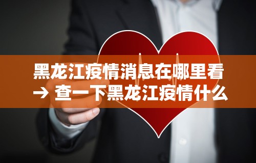黑龙江疫情消息在哪里看 → 查一下黑龙江疫情什么情况