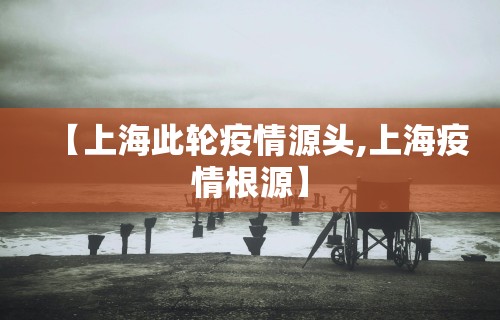 【上海此轮疫情源头,上海疫情根源】