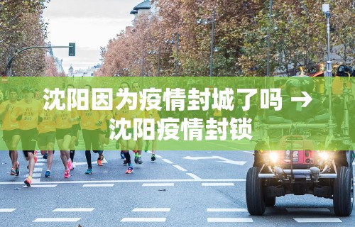 沈阳因为疫情封城了吗 → 沈阳疫情封锁