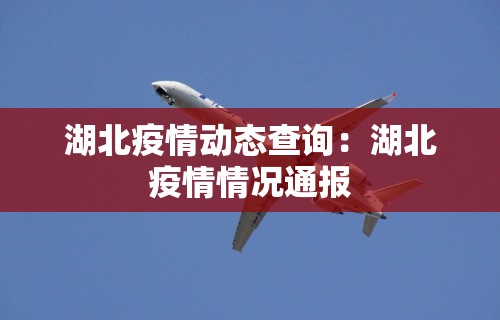湖北疫情动态查询：湖北疫情情况通报