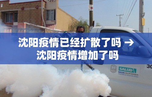 沈阳疫情已经扩散了吗 → 沈阳疫情增加了吗