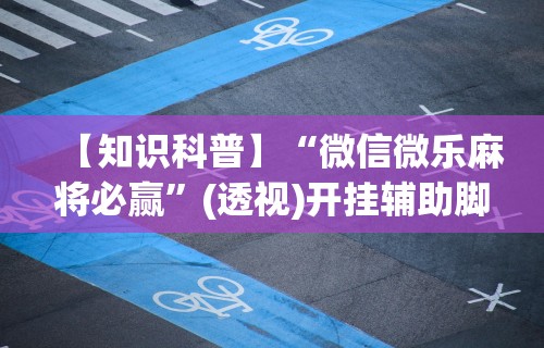 【总结文章“蜀山四川麻将有挂吗”(曝光透视必备猫腻)