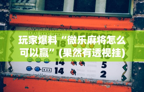 玩家爆料“微乐麻将怎么可以赢”(果然有透视挂)