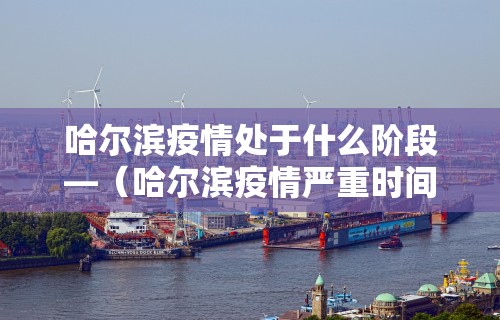 哈尔滨疫情处于什么阶段—（哈尔滨疫情严重时间是什么时候）