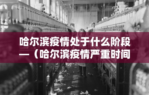 哈尔滨疫情处于什么阶段—（哈尔滨疫情严重时间是什么时候）