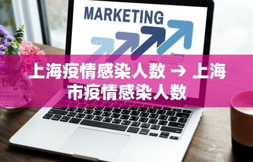 上海疫情感染人数 → 上海市疫情感染人数