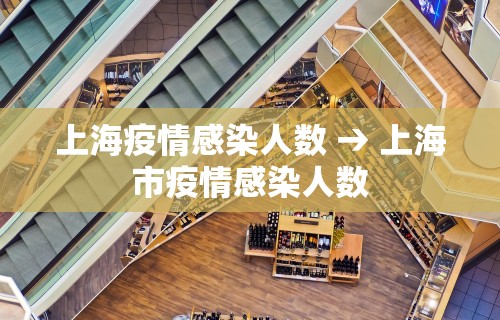 上海疫情感染人数 → 上海市疫情感染人数