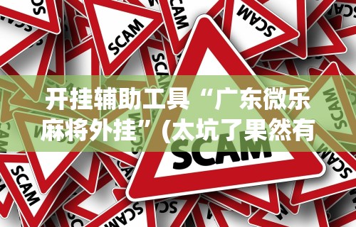 开挂辅助工具“广东微乐麻将外挂”(太坑了果然有挂)