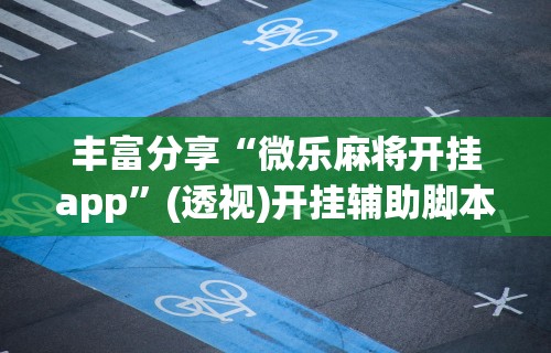 丰富分享“微乐麻将开挂app”(透视)开挂辅助脚本+详细开挂安装教程
