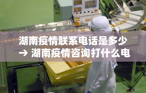 湖南疫情联系电话是多少 → 湖南疫情咨询打什么电话