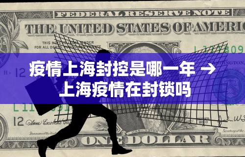 疫情上海封控是哪一年 → 上海疫情在封锁吗