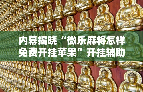 内幕揭晓“微乐麻将怎样免费开挂苹果”开挂辅助详细步骤