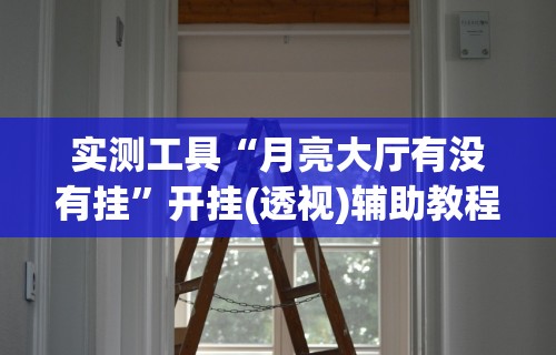 实测工具“月亮大厅有没有挂”开挂(透视)辅助教程