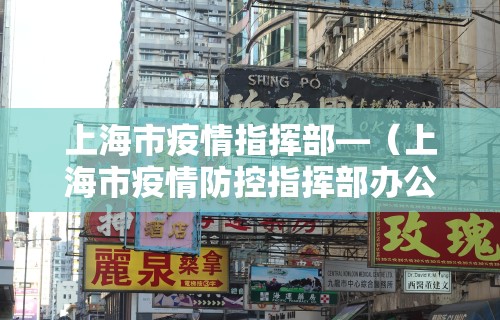 上海市疫情指挥部—（上海市疫情防控指挥部办公室）