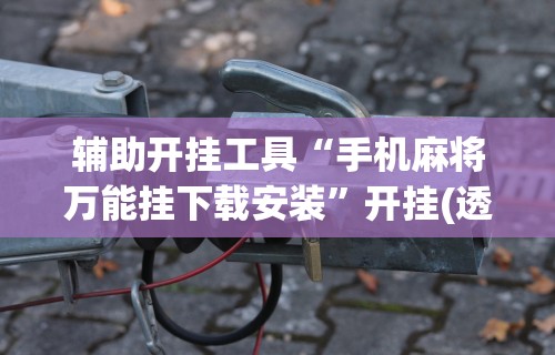 辅助开挂工具“手机麻将万能挂下载安装	”开挂(透视)辅助教程