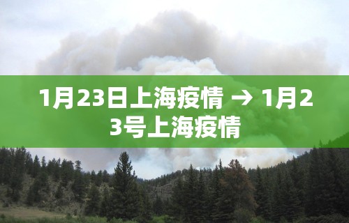 1月23日上海疫情 → 1月23号上海疫情