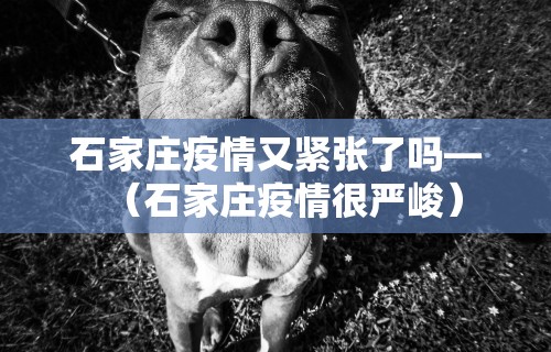 石家庄疫情又紧张了吗—（石家庄疫情很严峻）