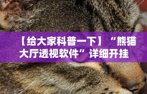 【给大家科普一下】“熊猫大厅透视软件”详细开挂教程