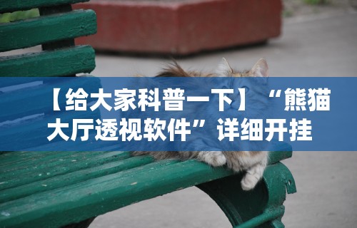 【给大家科普一下】“熊猫大厅透视软件”详细开挂教程