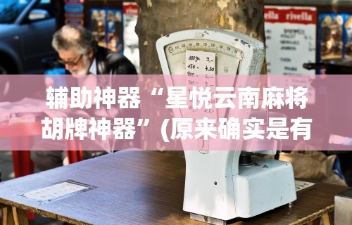 辅助神器“星悦云南麻将胡牌神器”(原来确实是有挂)
