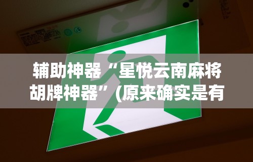 辅助神器“星悦云南麻将胡牌神器”(原来确实是有挂)
