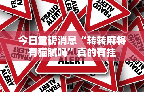 今日重磅消息“转转麻将有猫腻吗”真的有挂