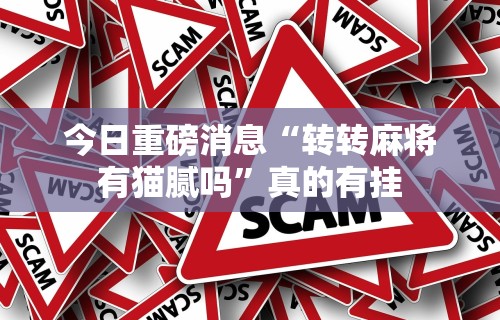 今日重磅消息“转转麻将有猫腻吗”真的有挂