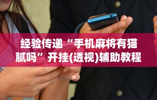 经验传递“手机麻将有猫腻吗”开挂(透视)辅助教程