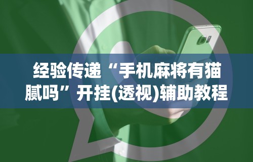 经验传递“手机麻将有猫腻吗”开挂(透视)辅助教程