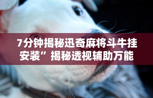7分钟揭秘迅奇麻将斗牛挂安装”揭秘透视辅助万能挂用法