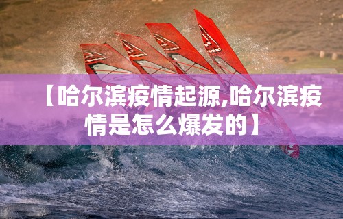 【哈尔滨疫情起源,哈尔滨疫情是怎么爆发的】