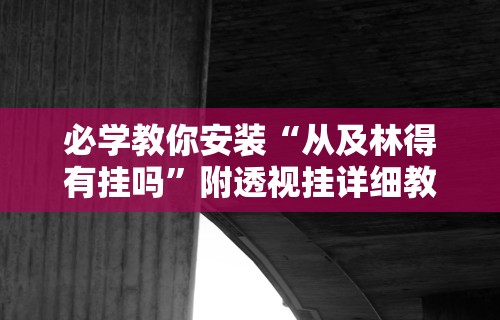 必学教你安装“从及林得有挂吗	”附透视挂详细教程 