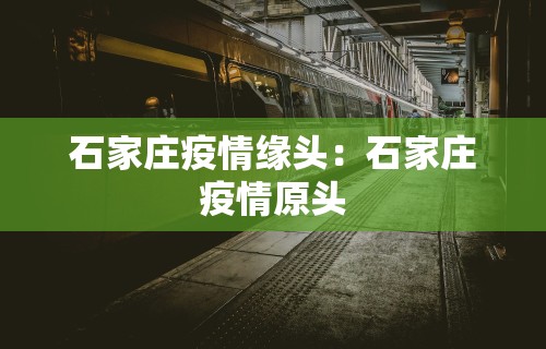 石家庄疫情缘头：石家庄疫情原头