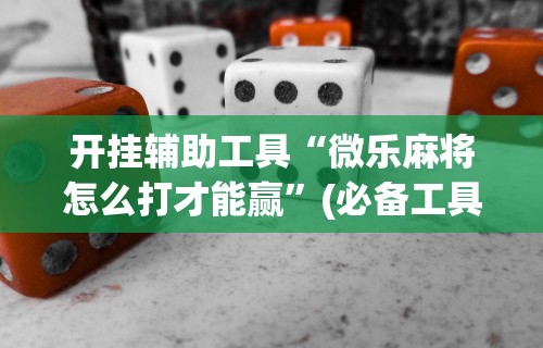 开挂辅助工具“微乐麻将怎么打才能赢”(必备工具)辅助教学