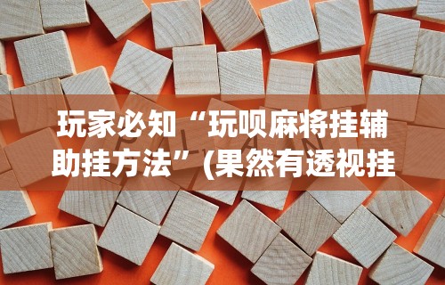 玩家必知“玩呗麻将挂辅助挂方法”(果然有透视挂)