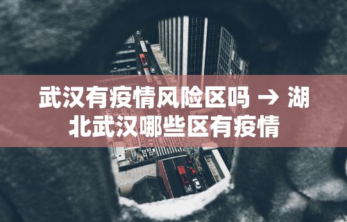 武汉有疫情风险区吗 → 湖北武汉哪些区有疫情