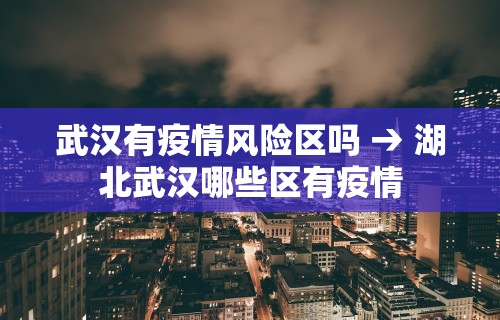 武汉有疫情风险区吗 → 湖北武汉哪些区有疫情