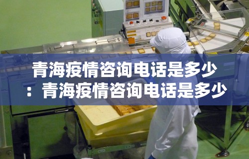 青海疫情咨询电话是多少：青海疫情咨询电话是多少号码