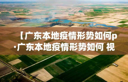 【广东本地疫情形势如何p·广东本地疫情形势如何 视频】