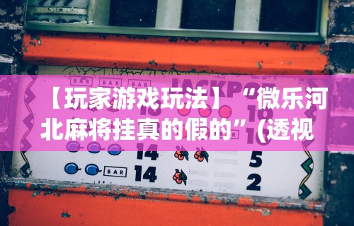 【玩家游戏玩法】“微乐河北麻将挂真的假的”(透视挂)辅助透视教程
