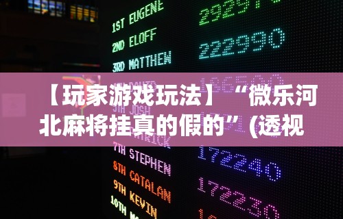 【玩家游戏玩法】“微乐河北麻将挂真的假的”(透视挂)辅助透视教程