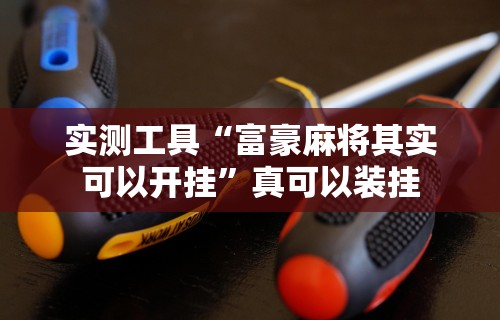 实测工具“富豪麻将其实可以开挂”真可以装挂