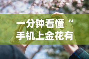 安装程序教程“七彩云南游戏开挂神器”通用版下载教程