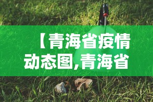 【青海省疫情动态图,青海省 疫情】