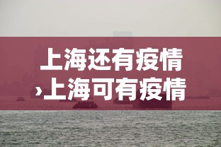 上海还有疫情›上海可有疫情
