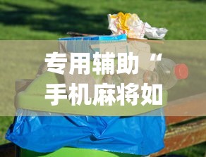 【玩家必看实操】“真人天天麻将怎么开挂”分享用挂教程