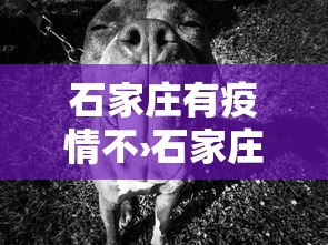 石家庄有疫情不›石家庄有没有疫情现在 石家庄有疫情不›石家庄有没有疫情现在