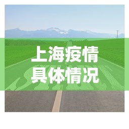 上海疫情具体情况怎么样—(上海疫情实际情况) 上海疫情具体情况怎么样—(上海疫情实际情况)