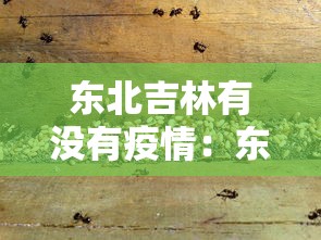 东北吉林有没有疫情:东北吉林有新冠病例吗 东北吉林有没有疫情:东北吉林有新冠病例吗